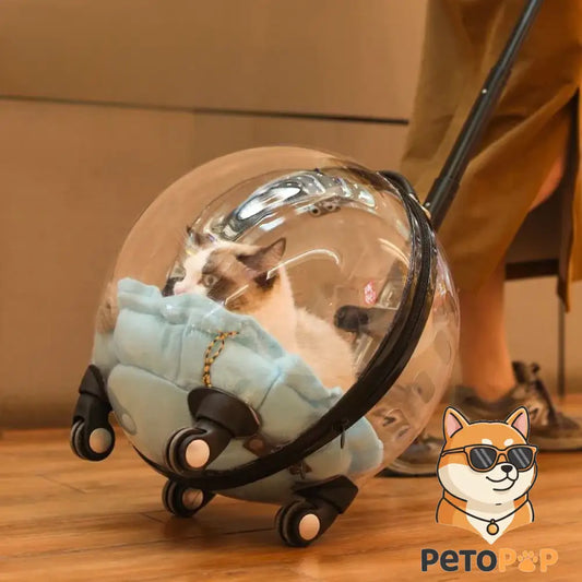 宇宙カプセル風キャットバッグ、Petopop製、猫が入った状態で表示されている、透明なドーム型。