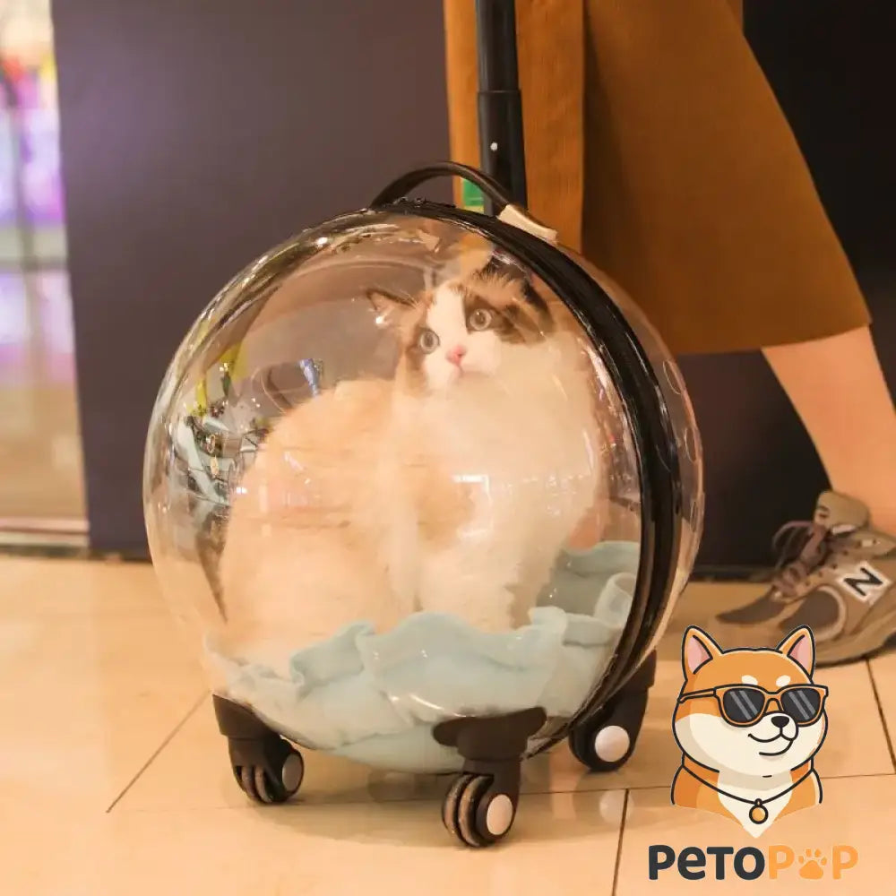 宇宙カプセル風猫用キャリーバッグ、Petopop製、猫入り、トロリーケース付き